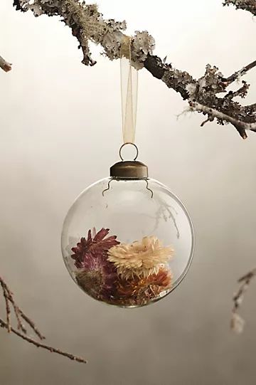 Dried Strawflower Filled Glass Globe Ornament | Anthropologie (US)