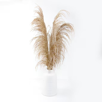 Origin 21 40-in Matte White/Natural Indoor Artificial Pampas Grass Artificial Flower | Lowe's