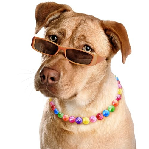 JOGIA Rainbow Beaded Dog Collar, Adjustable Dog Necklace for Small, Medium & Large Breeds, Fashionable Girl Dog Accessories for Daily Wear and Outing | Amazon (US)