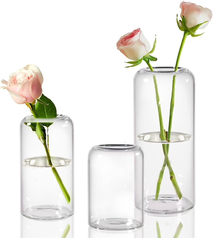 ZENS Glass Bud Vases Set of 3, Clear Hand Blown Small Vase for Flowers, Modern Cylinder Glass Vas... | Amazon (US)