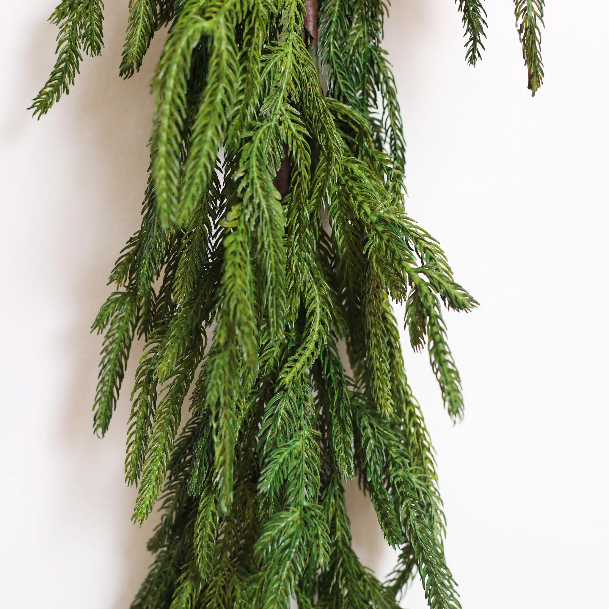 DarbyCreekTrading Norfolk Pine Christmas Holiday Front Door Garland & Reviews | Wayfair | Wayfair North America