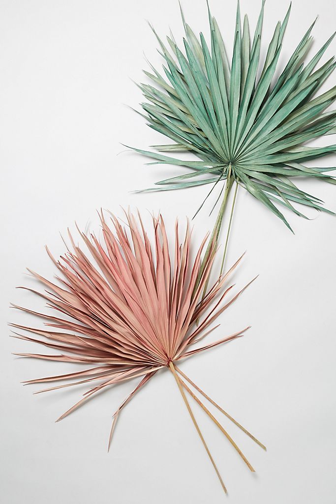 Colorful Dried Palm Bouquet | Anthropologie (US)
