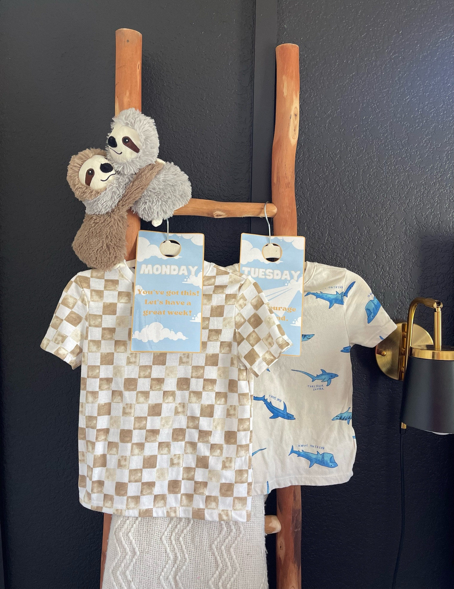 Closet hanger organizers for boys! 🩵 Monday, Tuesday, Wednesday, Thursday, Friday. Boys room decor 

#LTKSeasonal #LTKfamily #LTKBacktoSchool