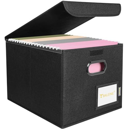 BALEINE File Organizer Box with Lid, Collapsible File Folder Organizer with Plastic Slide, Hanging File Folder Box for Office Document Storage (1 Pack, Black) | Amazon (US)