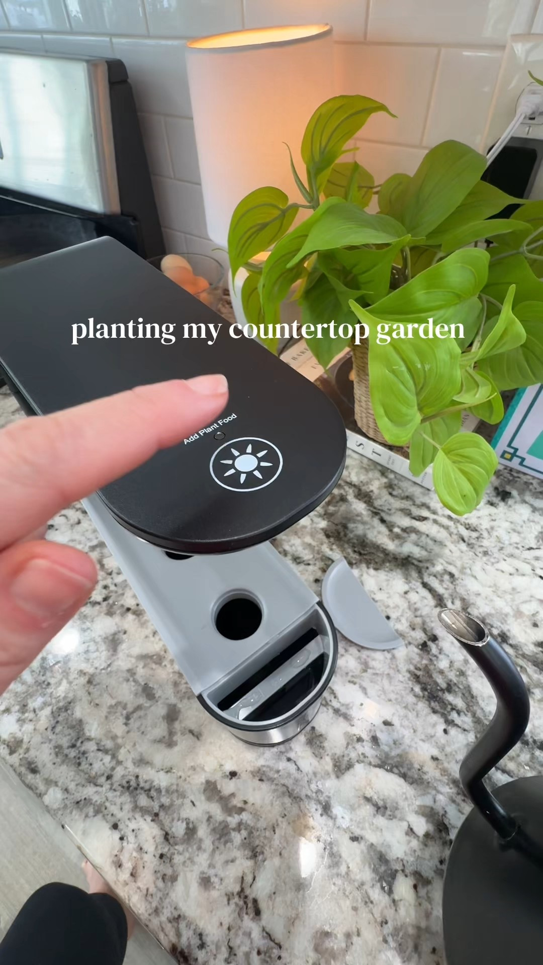 Counter top garden 

#LTKmomlife #LTKSeasonal #LTKHome