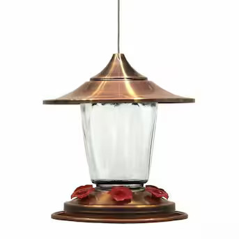 Style Selections Glass Hanging Nectar Hummingbird feeder - 28-oz | Lowe's