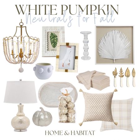White pumpkin neutrals to spice up your coastal decor for fall 🤍 

#LTKhome #LTKSeasonal #LTKfamily