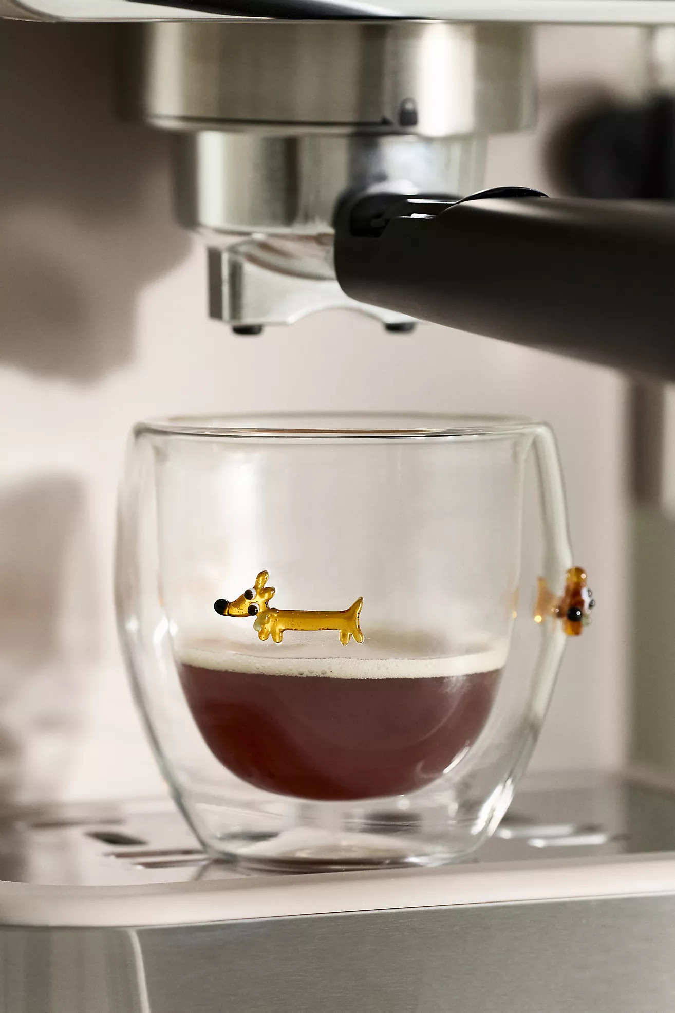 Icon Glass Espresso Cup | Anthropologie (US)