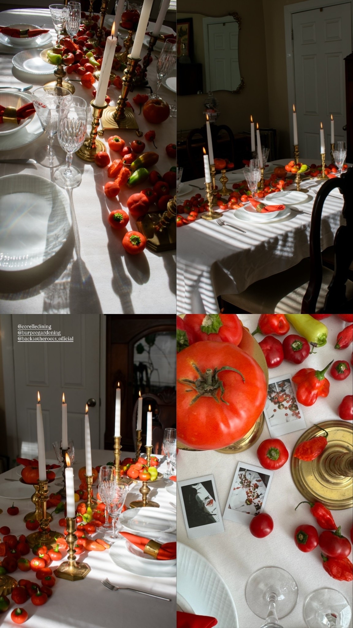 Fall Tablescape inspo ✨ @corelledining 
@burpeegardening 
@backtotheroots_official

#LTKHome #LTKSeasonal #LTKFallSale