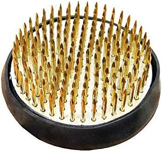 Flower Frog Round Holder for Arrangements 2.4" Inch | Amazon (US)