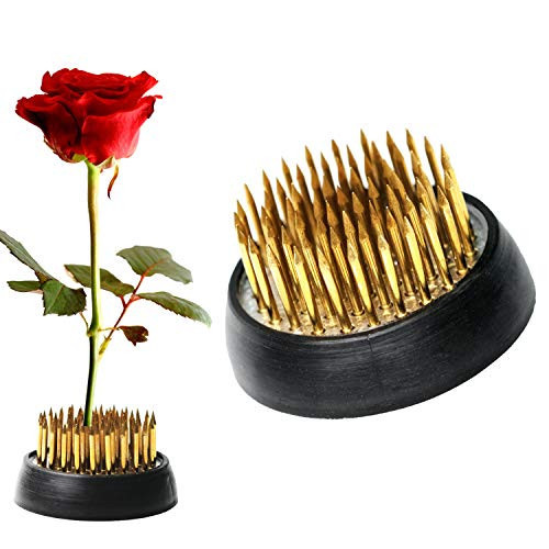 BEADNOVA Floral Frog Kenzan with Rubber Gasket Ikebana Flower Frog for Arrangements Ikebana Vase (1.3 Inch/34mm, 2pcs) | Amazon (US)