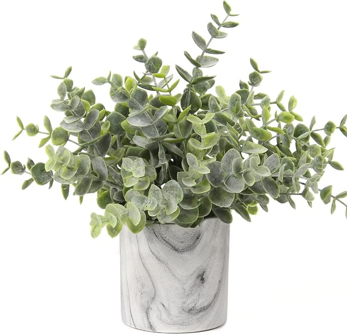 Hollyone Mini Artificial Potted Plants Fake Plants in Marble Pots, 1Pcs Plastic Eucalyptus Greene... | Amazon (US)