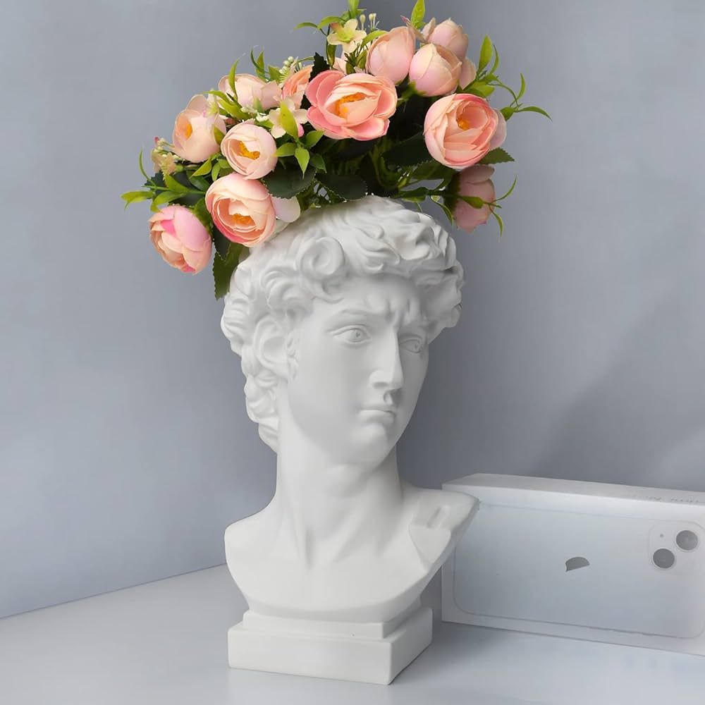 Greek Statue, Hosrnovo 10Inch Large David Head Vase Planter for Garden and Home, Roman Style Vint... | Amazon (US)