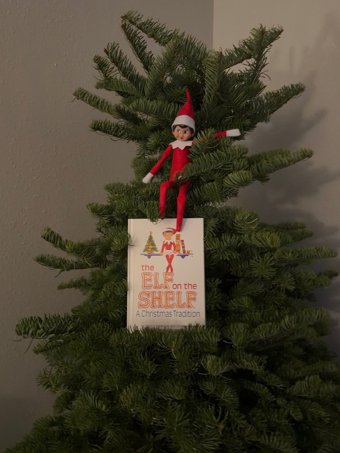 #LTKHoliday #LTKKids #LTKmomlife