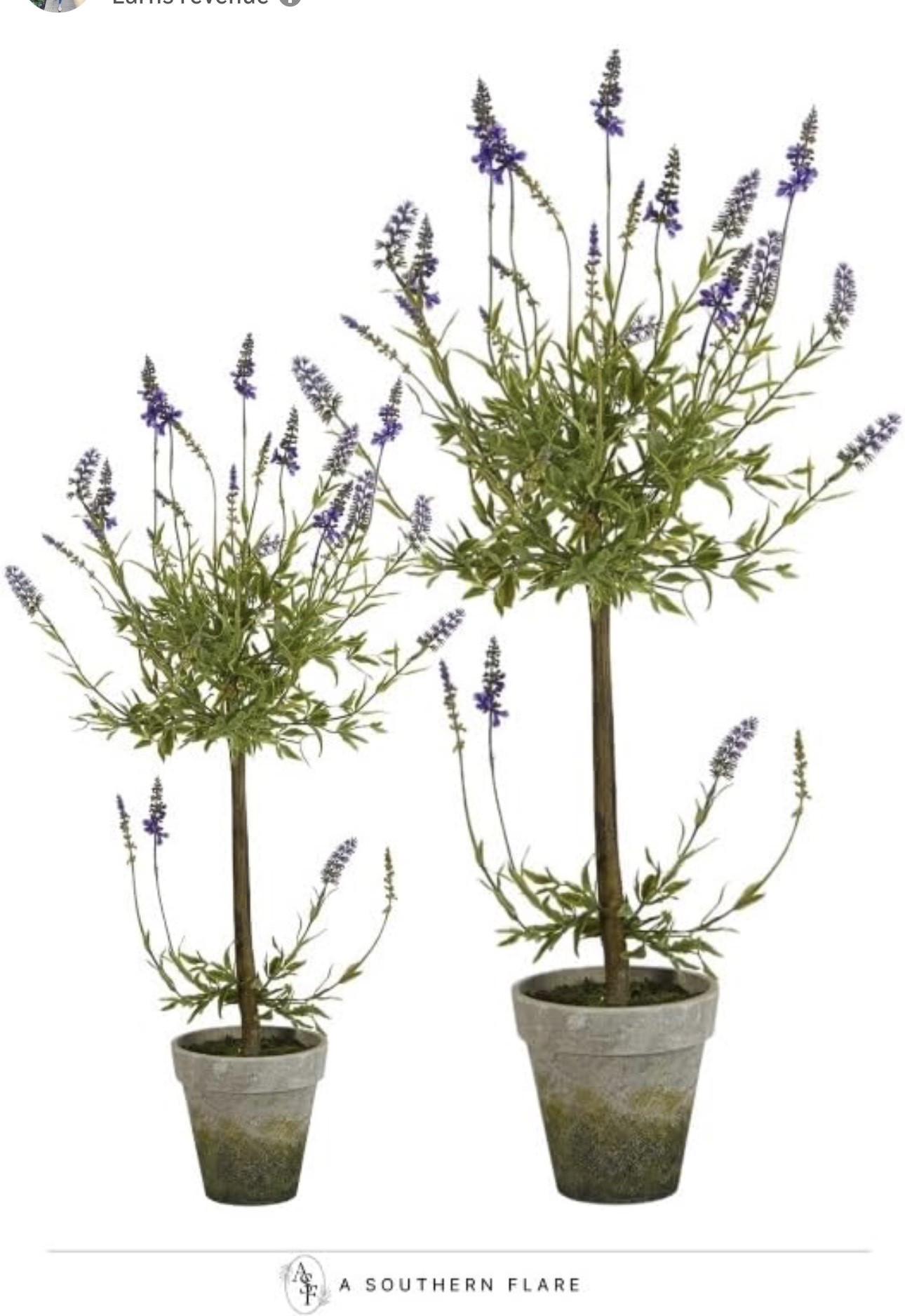 Bring a touch of elegance to your home with these stunning planters. Perfect for adding a pop of color to any space. #HomeDecor #PlantLove