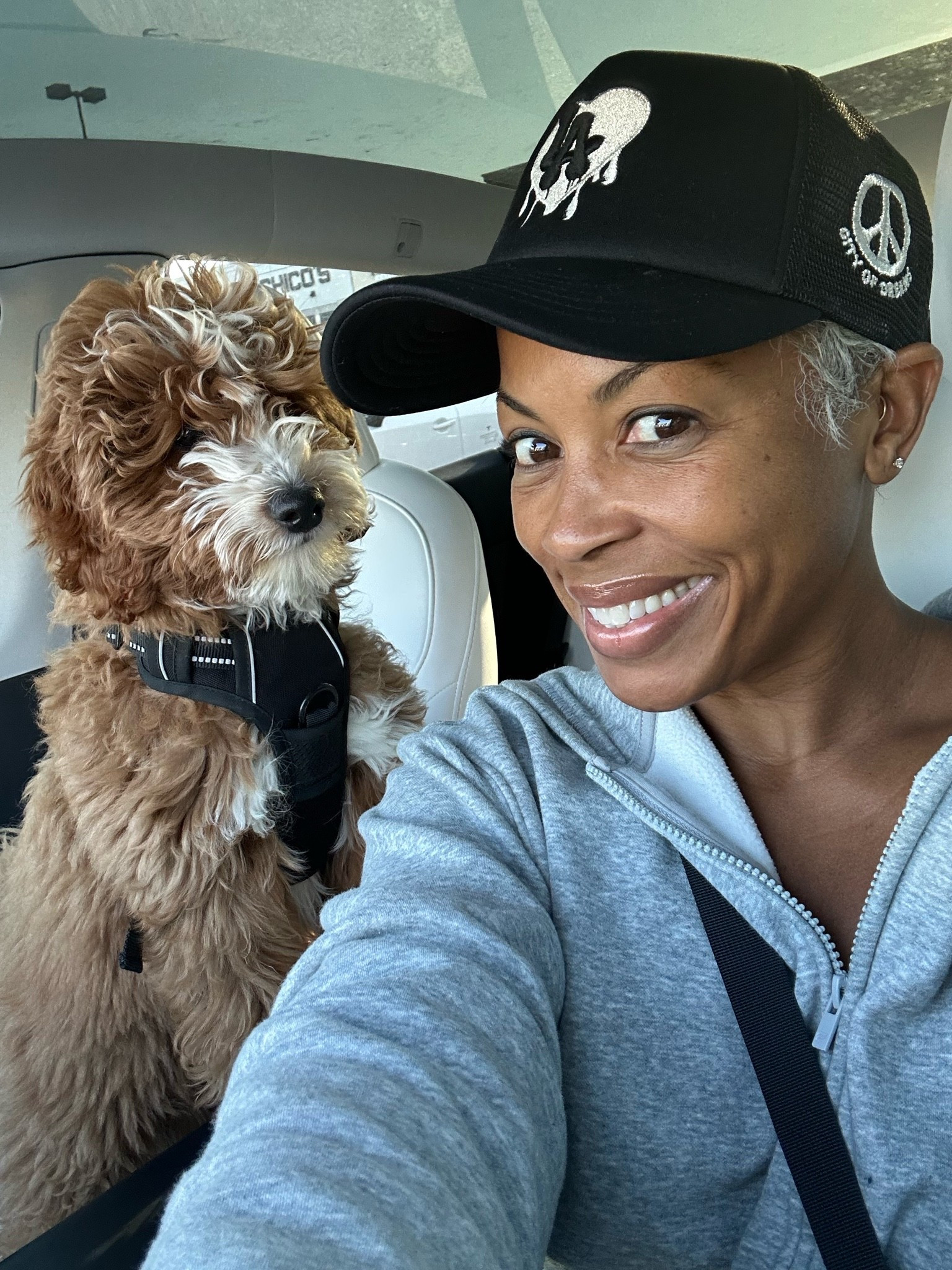 Road-tripping with my favorite co-pilot! Daps is secured, comfy & ready for the ride. 🐶

#PetTravel #DogMom #DogTravelEssentials #TravelWithPets #xoJalonda

#LTKTravel #LTKmomlife #LTKBaby