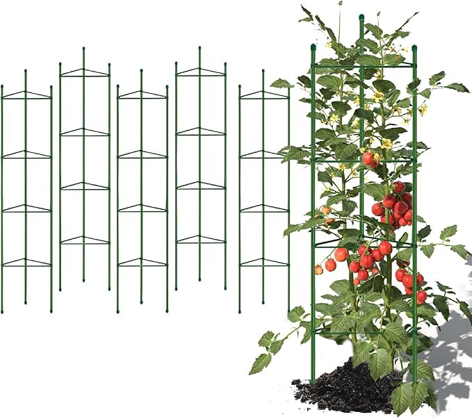 6 Pack 5ft Tomato Cage for Garden Plant Support, Garden Stakes Tomato Cage, Tomato Cages Plant St... | Amazon (US)