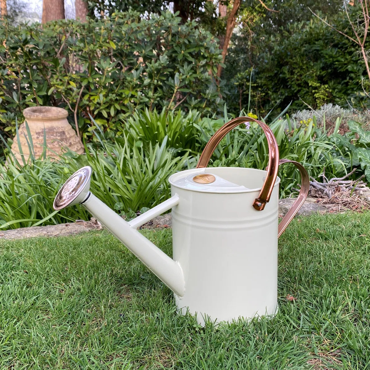 Metal Watering Can | Wayfair UK