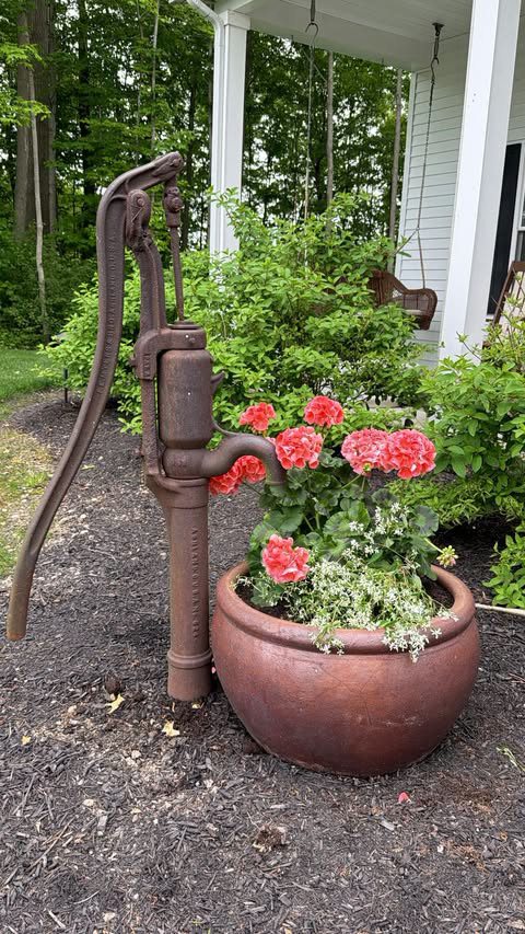 This antique cast iron well pump isn't hooked up for use but we prop it up in our landscaping for added visual appeal.  

 #LTKSeasonal #LTKHome