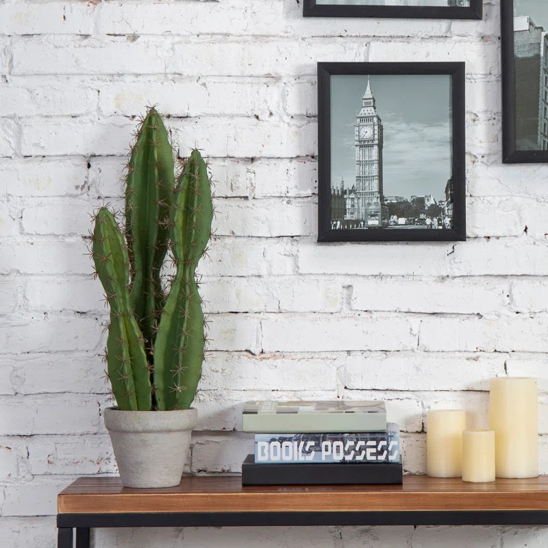 23.4'' Faux Cactus Succulent in Cement Pot | Wayfair North America