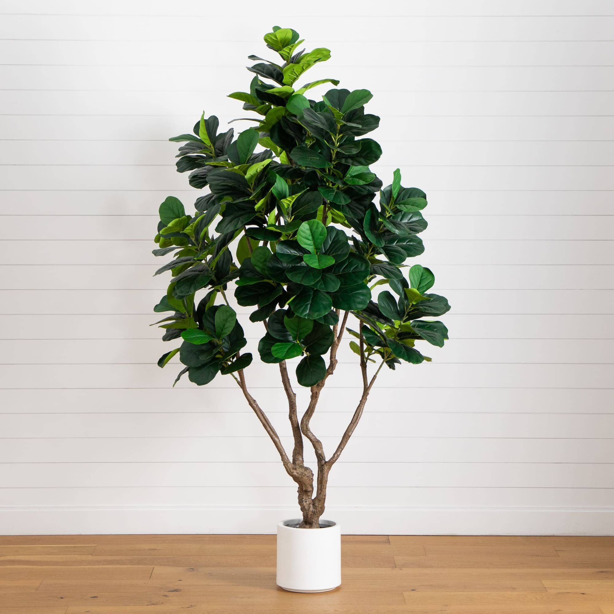 8\u2019 Artificial Grand Fiddle Leaf Tree in White Decorative Planter | Nearly Natural | Nearly Natural
