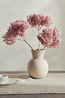 Preserved Hydrangea Bunch, 15"L | Anthropologie (US)