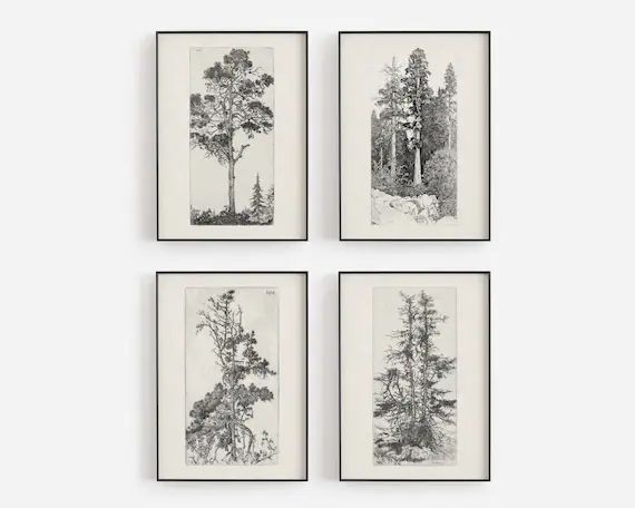 Vintage art, botanical wall art, sketch art, vintage drawing, vintage tree art, forest prints, bo... | Etsy (US)