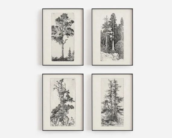 Vintage art, botanical wall art, sketch art, vintage drawing, vintage tree art, forest prints, bo... | Etsy (US)