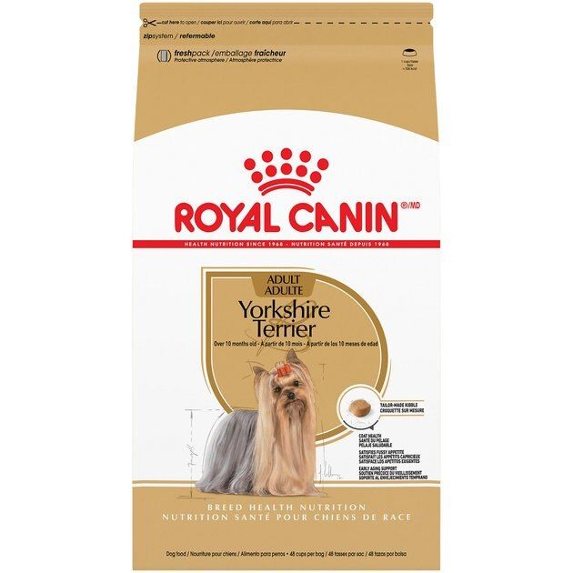 Royal Canin Yorkshire Terrier Adult Dry Dog Food, 10-lb bag | Chewy.com