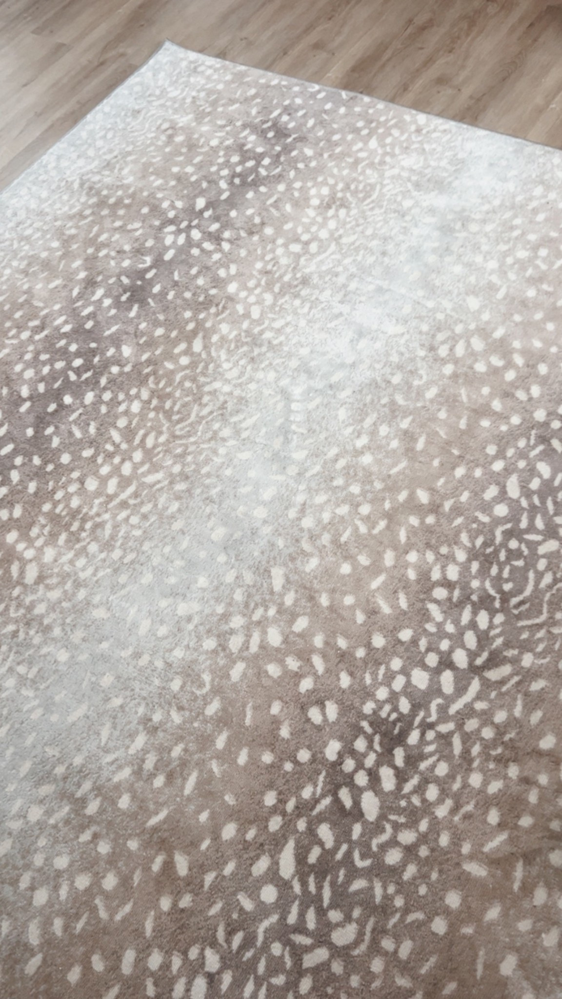 My favorite area rug! 

#LTKHome #LTKSaleAlert