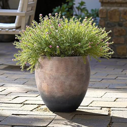 LuxenHome 14" Dia Round Large Plant Pot, Vintage Antiqued Brown Cement Planter Pot with Drainage Hole and Rubber Plug, Indoor Outdoor Planters, Decoratiove Flower Pots for Home Garden Patio | Amazon (US)