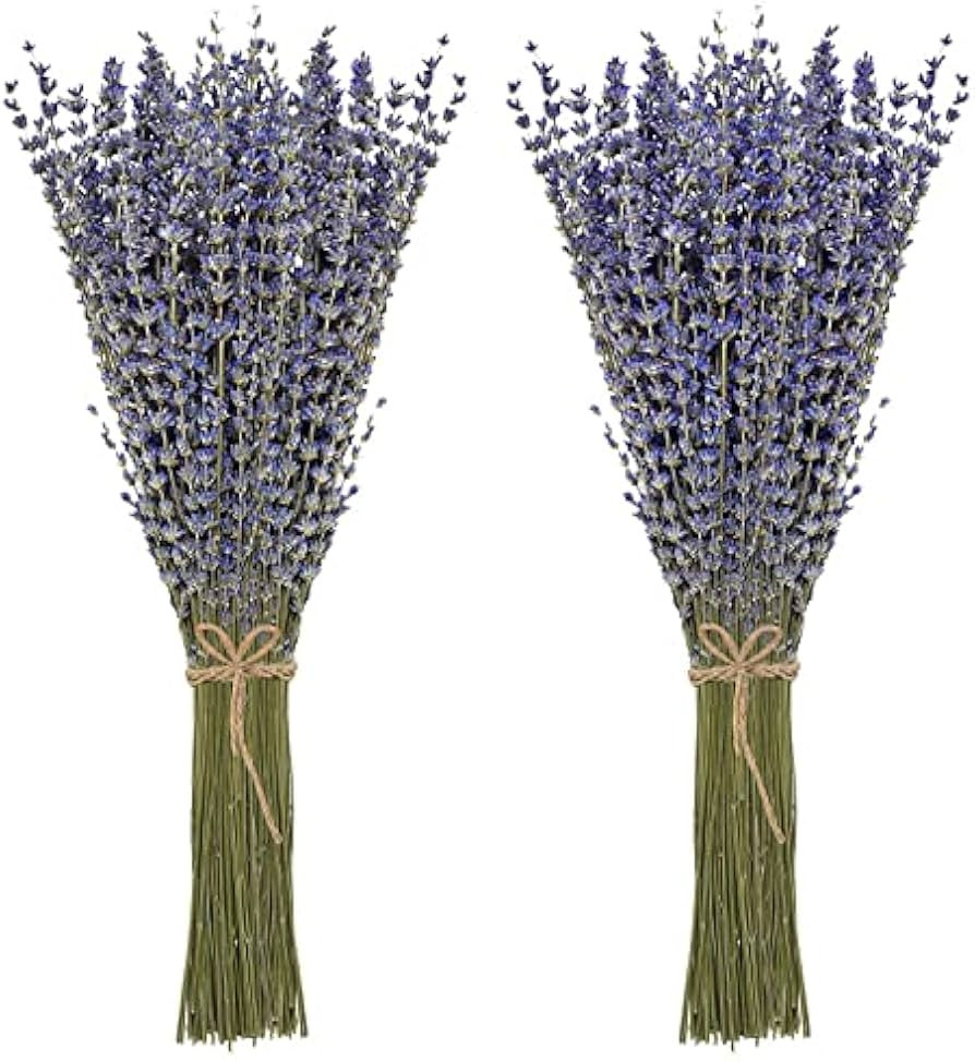 Timoo Dried Lavender Bundles 100% Natural Dried Lavender Flowers for Home Decoration, Photo Props... | Amazon (US)