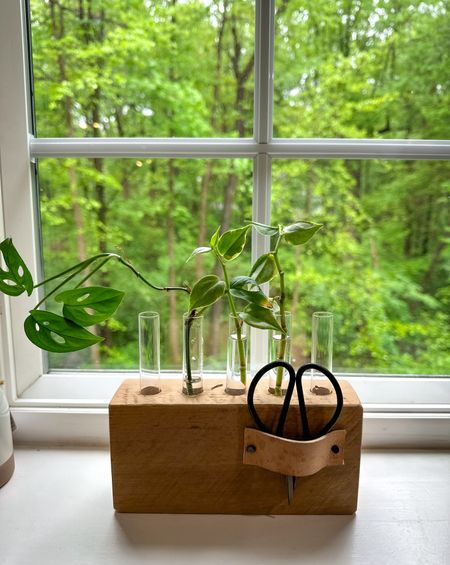 Propagation stand 💚 sweetest gift from my daughter. Linked similar options. 

#LTKKids #LTKGiftGuide #LTKFindsUnder50