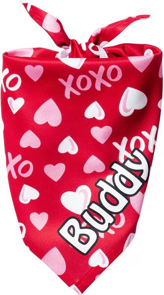 FRISCO XOXO Hearts Personalized Dog & Cat Bandana, Large - Chewy.com | Chewy.com