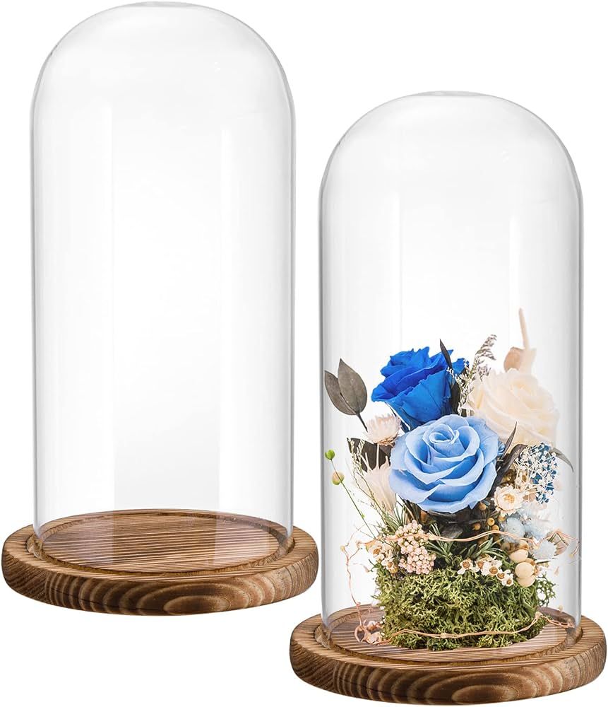 2 Pack Glass Cloche Display Dome, 9.8x4.7 inch Decorative Glass Display Bell Jar, Clear Glass Dom... | Amazon (US)