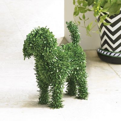 Faux Boxwood Garden Dog, Moxie | Grandin Road | Grandin Road