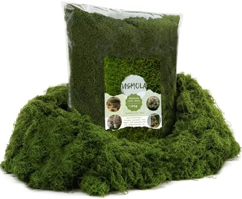 1.5LB Bulk Moss for Decorating - Fake Moss for Crafts, Potted Plants, Fairy Gardens, Terrariums &... | Amazon (US)
