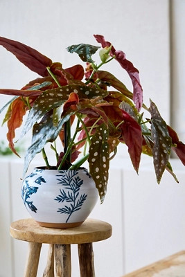 Indigo Floral Low Jar Planter | Terrain