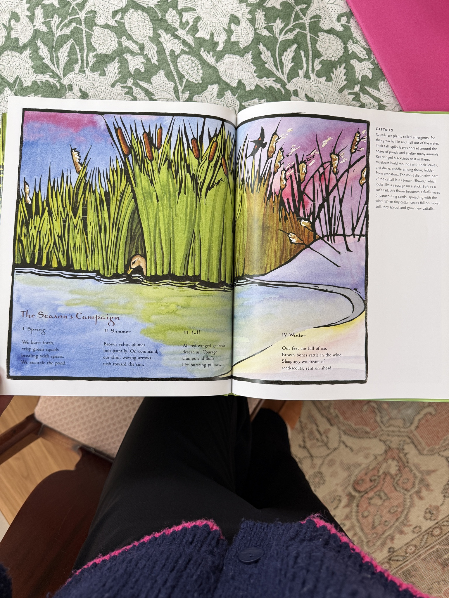 Currently reading this with my 4th grade class for our wetlands science lesson 🌿📚 Poetry + nature = the best classroom combo.
#LTKbooks #TeacherReads #ChildrensLiterature #ScienceClass #kidsbooks #bookish #booktok

#LTKSaleAlert #LTKdayinmylife #LTKSpringSale