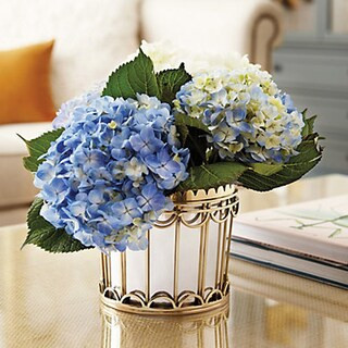 Bunny Williams Woodridge Cachepot | Ballard Designs, Inc.