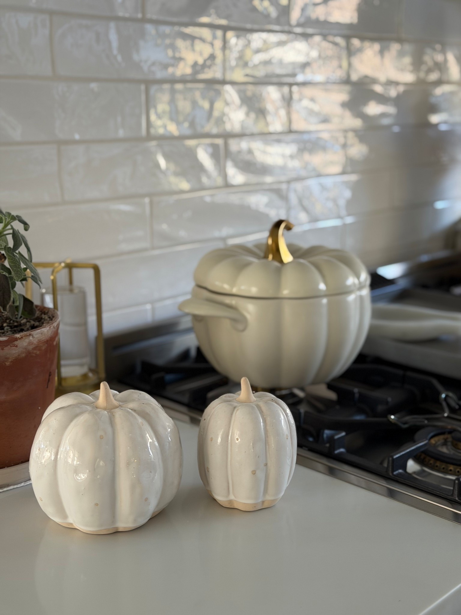 The soup season is here 🎃

#LTKSeasonal #LTKFindsUnder50 #LTKHoliday