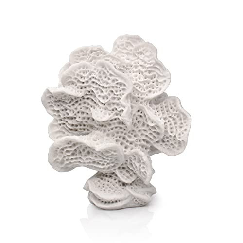 Accessoryway Coral Reef Decor - Small Artificial Beach Coral Statue, Coastal Decor for Home - Nautical Decorations - White - 6.2" | Amazon (US)