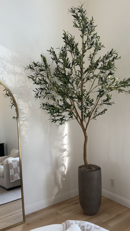 My olive tree has a $20 coupon today! Making it $140! 

Amazon | amazon home | olive tree | 8ft olive tree | home decor 

#LTKSaleAlert #LTKHome #LTKVideo
