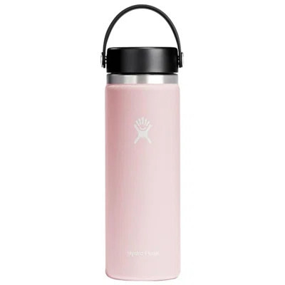 Hydro Flask Vacuum Insulated Wide Mouth Water Bottle with Lid, 20 oz - Cascade | Wayfair North America