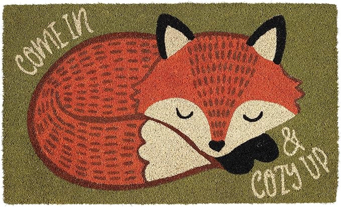 DII Coconut Natural Coir Doormat, 18x30, Cozy Fox | Amazon (US)