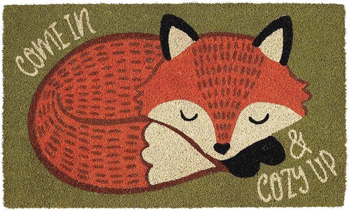 DII Coconut Natural Coir Doormat, 18x30, Cozy Fox | Amazon (US)