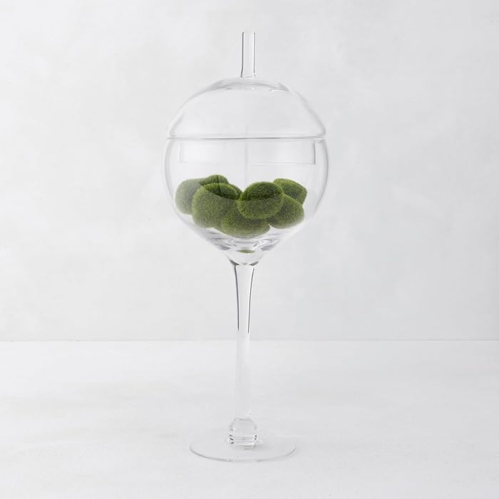 Z Gallerie Jules Glass Cloche, Hand-Blown Glasses Display Dome for Decorative Showcase Elegant Te... | Amazon (US)