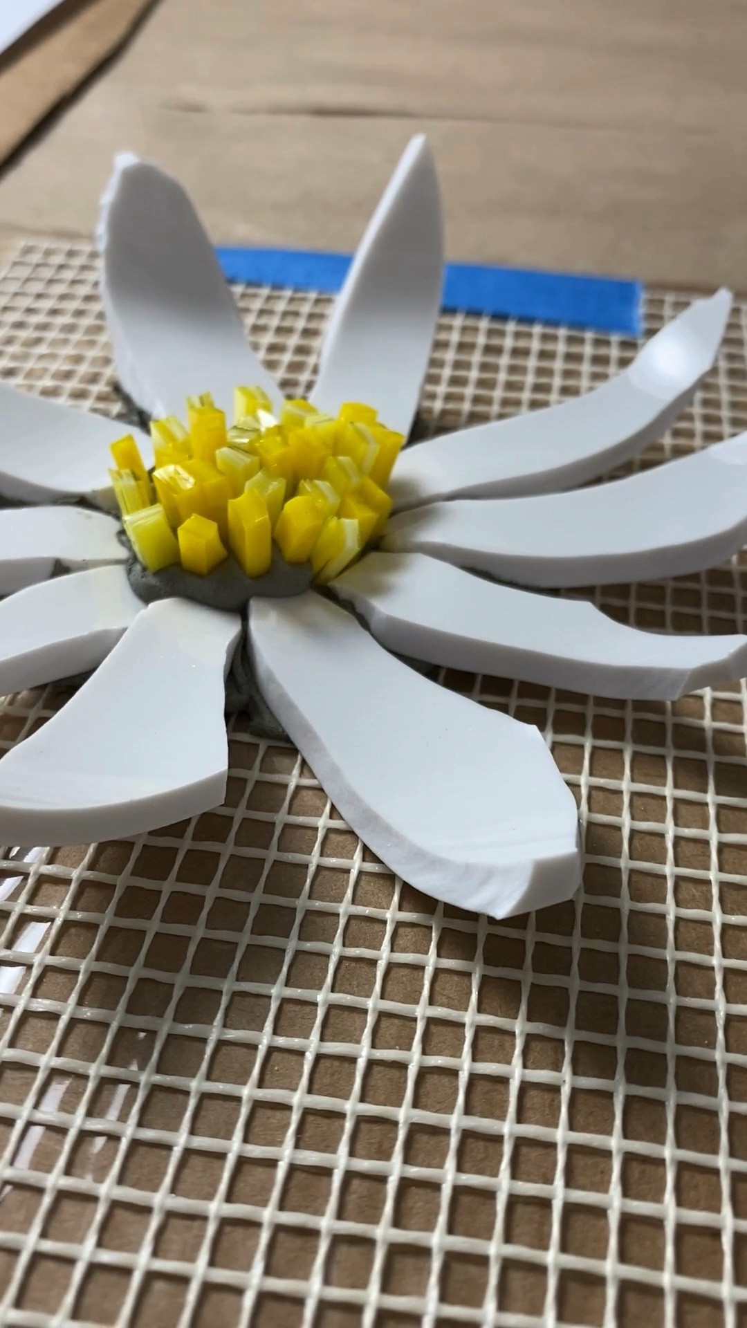 Broken bowls are basically just future mosaic flowers in this studio. 🥣🌼

This flower mosaic was made with pieces of a broken ceramic bowl for the petals and stained glass cut into tiny matchsticks for the center. One of my favorite things about mosaic art is how easily “oops” turns into art supplies.

If you’ve ever saved broken dishes because they felt too pretty to throw away…welcome. 😂

I linked to the tools and adhesive I used to make this mosaic flower. Start saving your broken dishes!

For mosaic tips, tutorials, inspiration, and so much more please visit my YouTube channel: YouTube.com/julieweilbacher, and follow @julieweilbacher on Instagram.

#mosaicart #mosaicartist #brokenchina #upcycledart #stainedglass #mosaicflower #handmadeart #creativehome #artiststudio #mosaicdesign #summercrafts #diydishart

#LTKHome