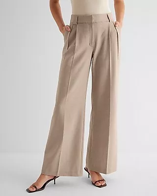 Express High Waisted Pleated Wide Leg Pant