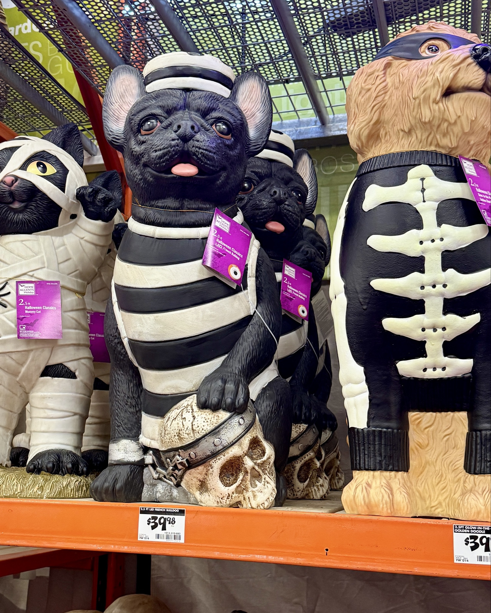 Cute Halloween porch greeters from Home Depot. Mummy Cat, French Bulldog with LED light up skull, Glow in the dark Golden Doodle, LED light up Golden Retriever Ghost with Puppy. All are 2.5 feet tall.

#halloween #outdoor #homedepot

#LTKHome #LTKSeasonal #LTKFamily